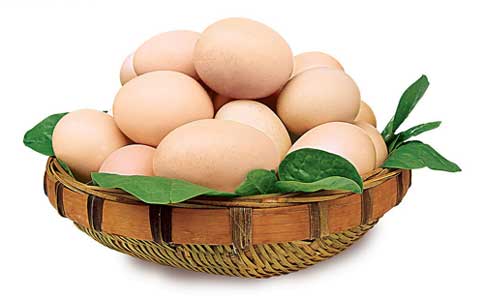 鸡蛋,辨别新鲜鸡蛋