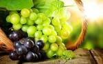 “水果之神”葡萄的营养价值及其功效