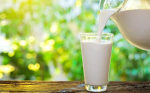 喝纯牛奶对孕妇好吗？