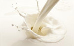 常见的五种牛奶哪种最营养
