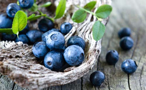 蓝莓,蓝莓的营养价值,吃蓝莓的好处