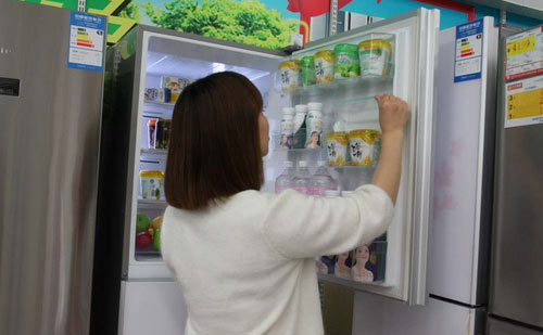 冰箱,冰箱选购技巧,冰箱什么牌子的好