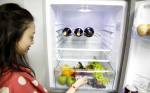 选购：买冰箱多大容量才合适？