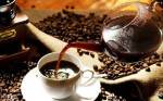 常见咖啡种类有哪些？